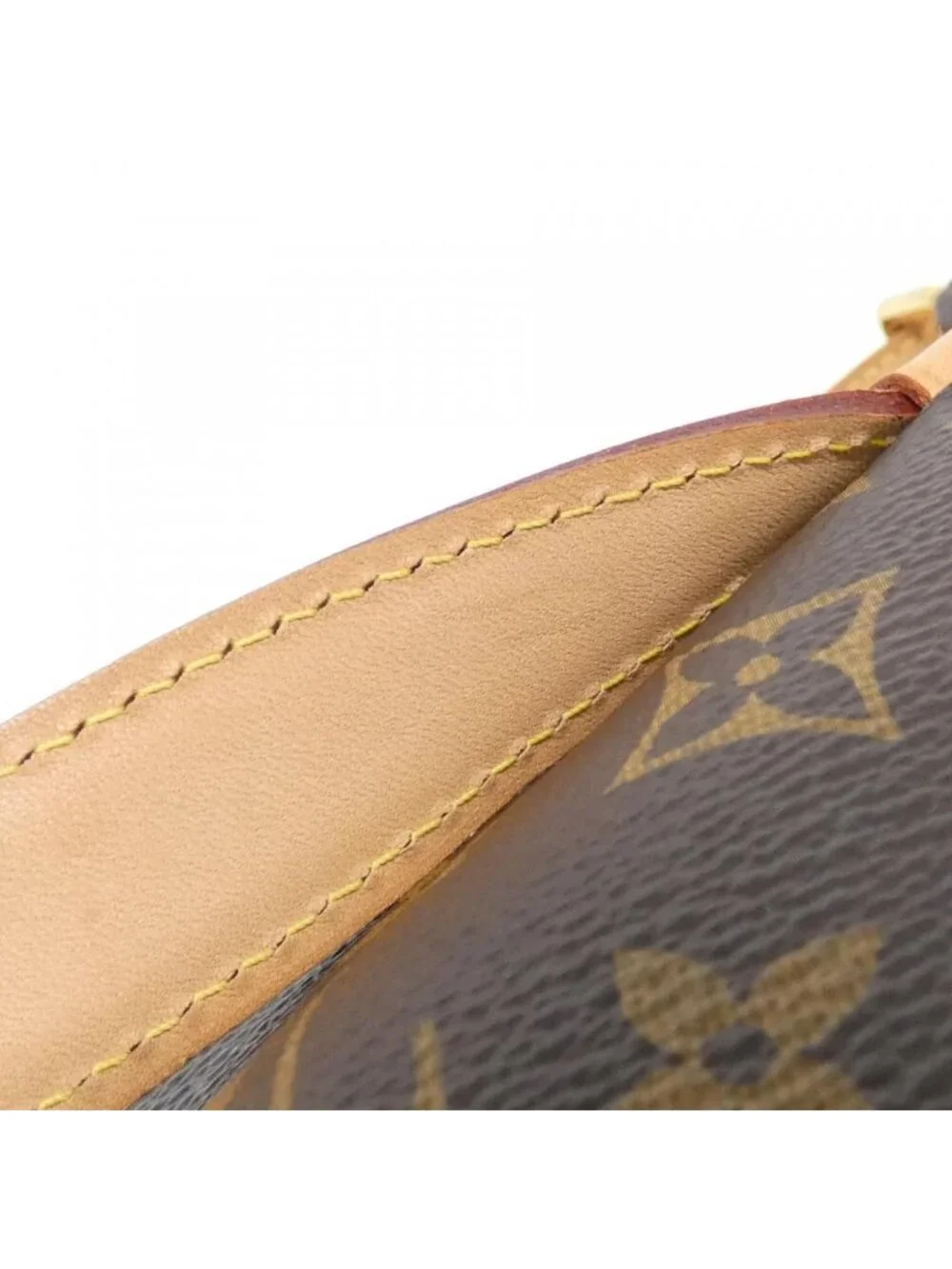 Louis Vuitton Monogram Bum